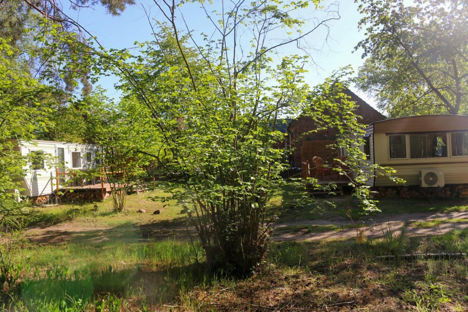 מלון קוטבוס Tinyhaus Idyllisch Am Waldesrand מראה חיצוני תמונה